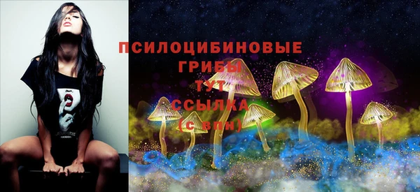 марки lsd Карпинск