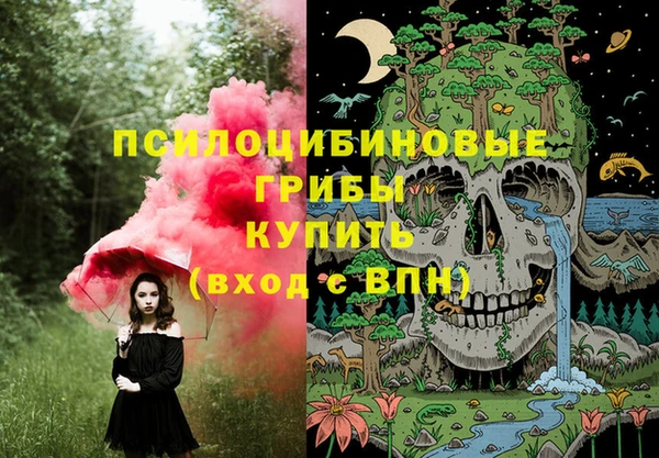 твердый Касимов