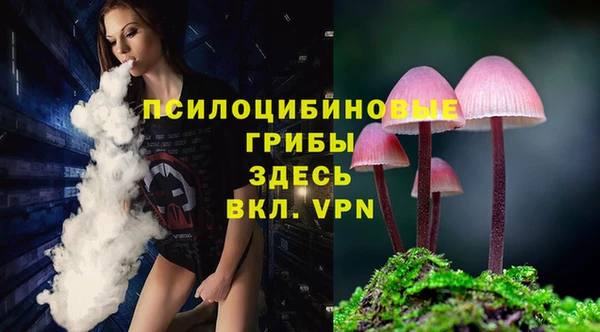 твердый Касимов