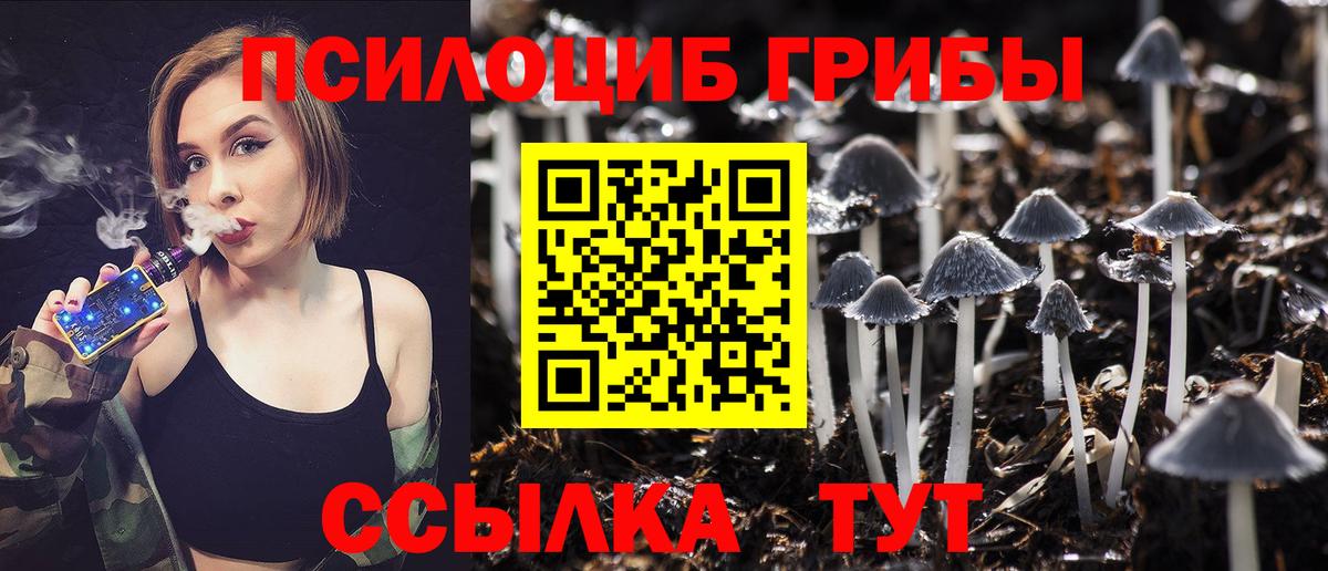 Псилоцибиновые грибы Psilocybine cubensis Советская Гавань