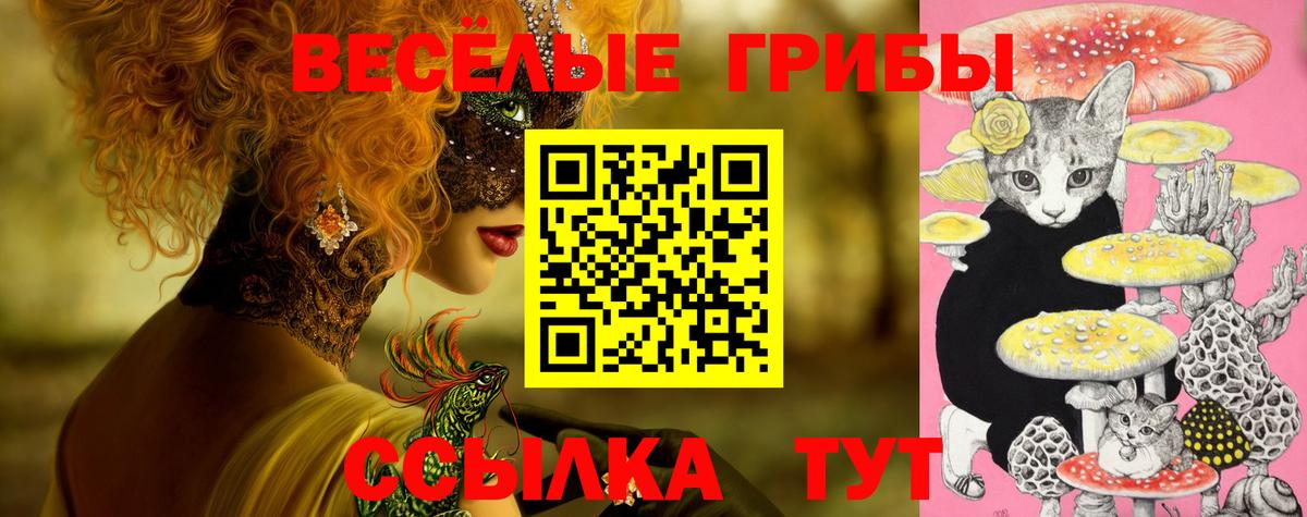 Советская Гавань  Псилоцибиновые грибы Magic Shrooms  даркнет сайт  Псилоцибиновые грибы ЛСД  Вход с VPN 